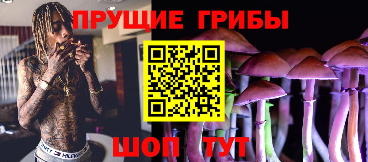Дальнереченск  Галлюциногенные грибы Cubensis  Вход с VPN  где продают   Галлюциногенные грибы мицелий 